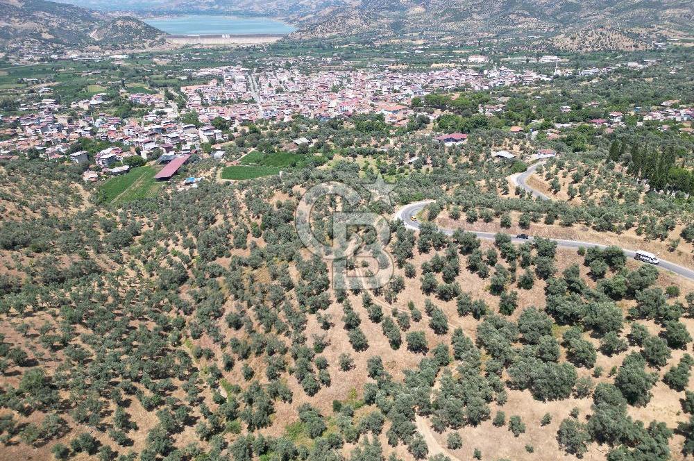 BEYDAĞ’DA ŞEHİR VE BARAJ MANZARALI SATILIK MÜSTAKİL ZEYTİNLİK