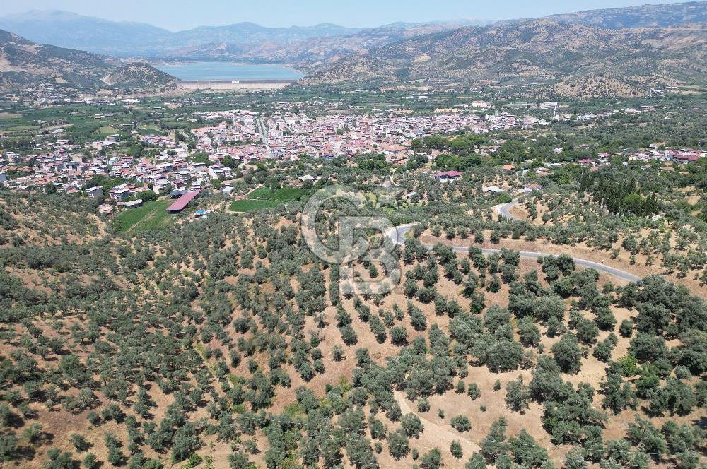 BEYDAĞ’DA ŞEHİR VE BARAJ MANZARALI SATILIK MÜSTAKİL ZEYTİNLİK