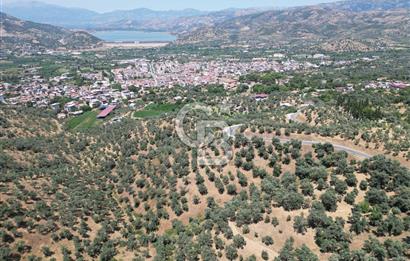 BEYDAĞ’DA ŞEHİR VE BARAJ MANZARALI SATILIK MÜSTAKİL ZEYTİNLİK
