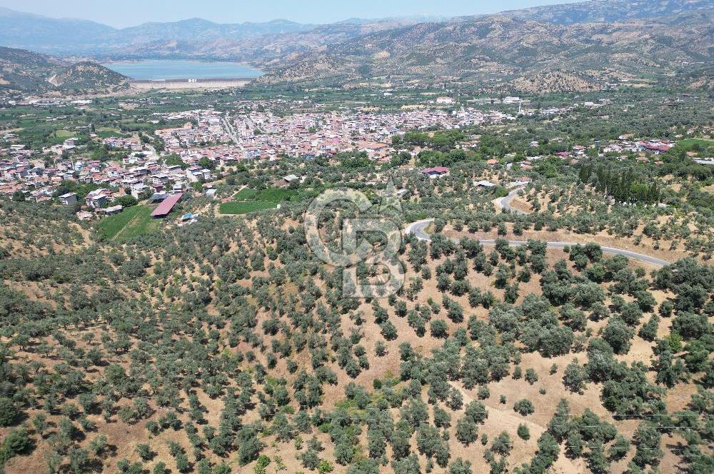 BEYDAĞ’DA ŞEHİR VE BARAJ MANZARALI SATILIK MÜSTAKİL ZEYTİNLİK