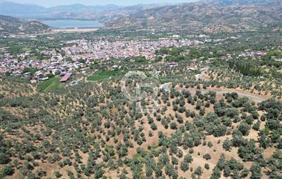 BEYDAĞ’DA ŞEHİR VE BARAJ MANZARALI SATILIK MÜSTAKİL ZEYTİNLİK