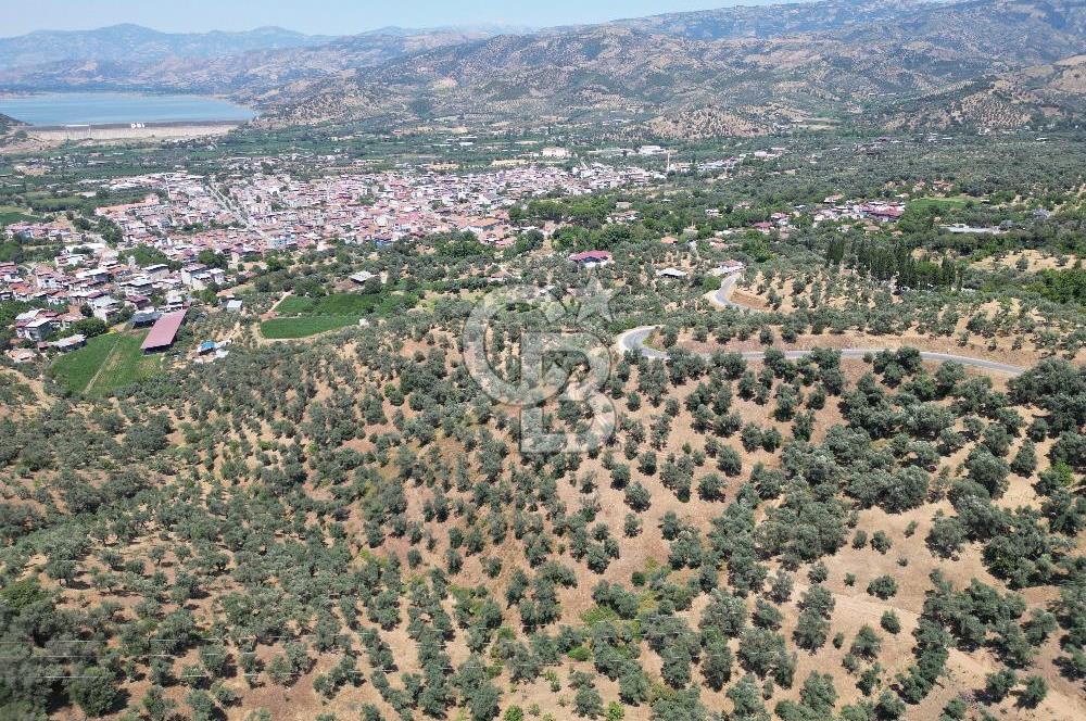 BEYDAĞ’DA ŞEHİR VE BARAJ MANZARALI SATILIK MÜSTAKİL ZEYTİNLİK