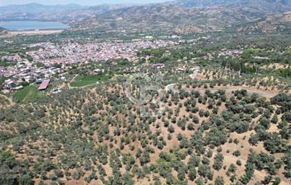 BEYDAĞ’DA ŞEHİR VE BARAJ MANZARALI SATILIK MÜSTAKİL ZEYTİNLİK