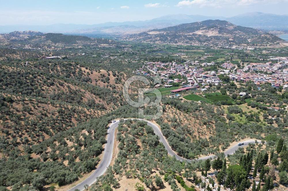 BEYDAĞ’DA ŞEHİR VE BARAJ MANZARALI SATILIK MÜSTAKİL ZEYTİNLİK