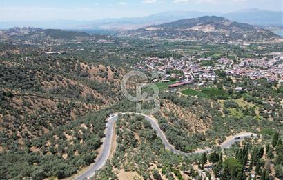 BEYDAĞ’DA ŞEHİR VE BARAJ MANZARALI SATILIK MÜSTAKİL ZEYTİNLİK
