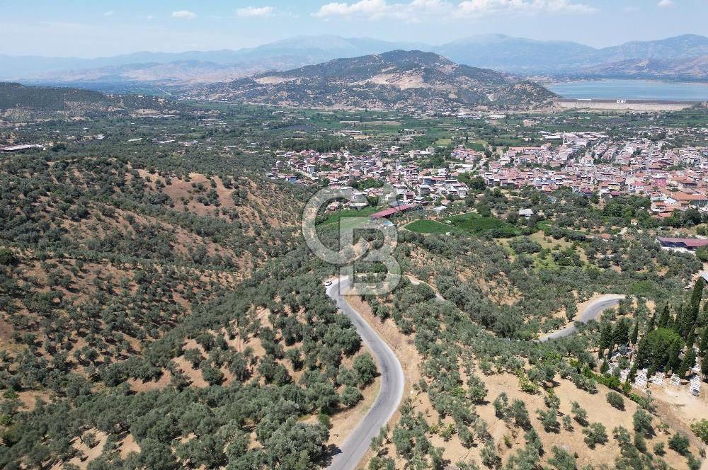 BEYDAĞ’DA ŞEHİR VE BARAJ MANZARALI SATILIK MÜSTAKİL ZEYTİNLİK