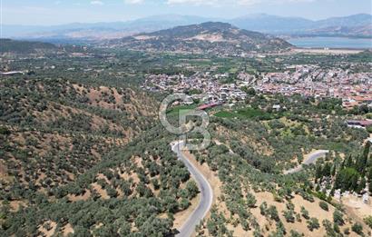 BEYDAĞ’DA ŞEHİR VE BARAJ MANZARALI SATILIK MÜSTAKİL ZEYTİNLİK