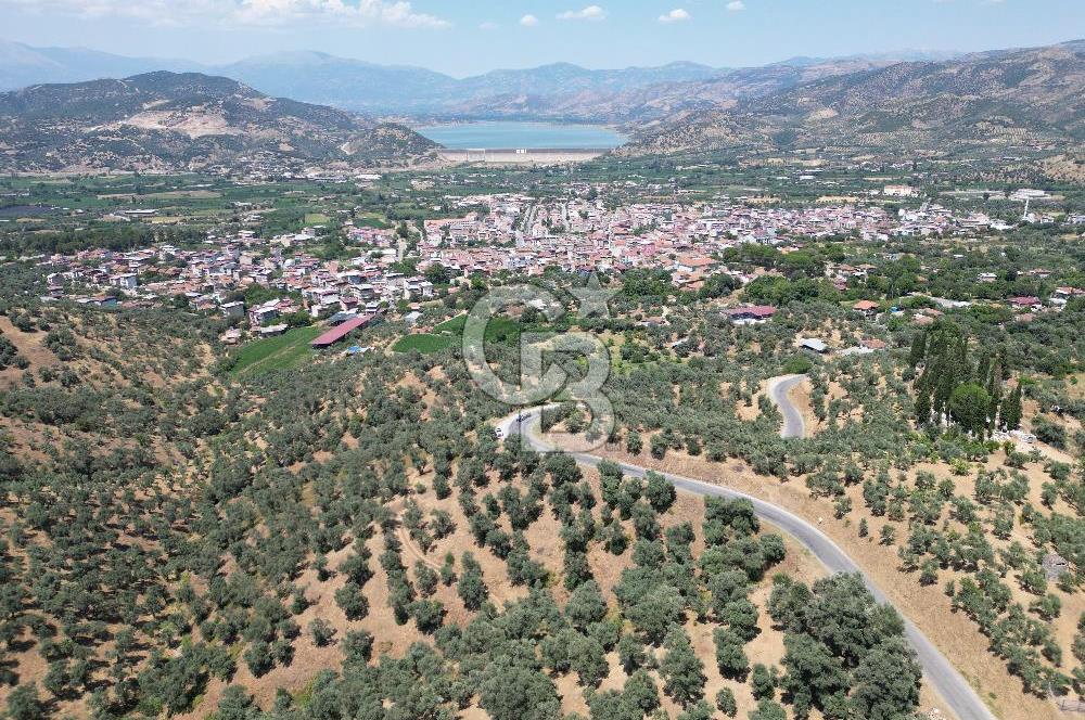 BEYDAĞ’DA ŞEHİR VE BARAJ MANZARALI SATILIK MÜSTAKİL ZEYTİNLİK