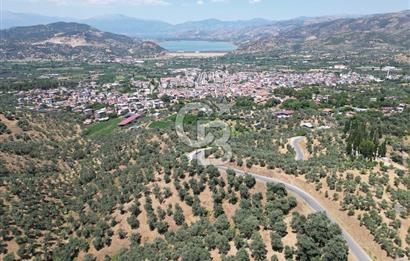 BEYDAĞ’DA ŞEHİR VE BARAJ MANZARALI SATILIK MÜSTAKİL ZEYTİNLİK