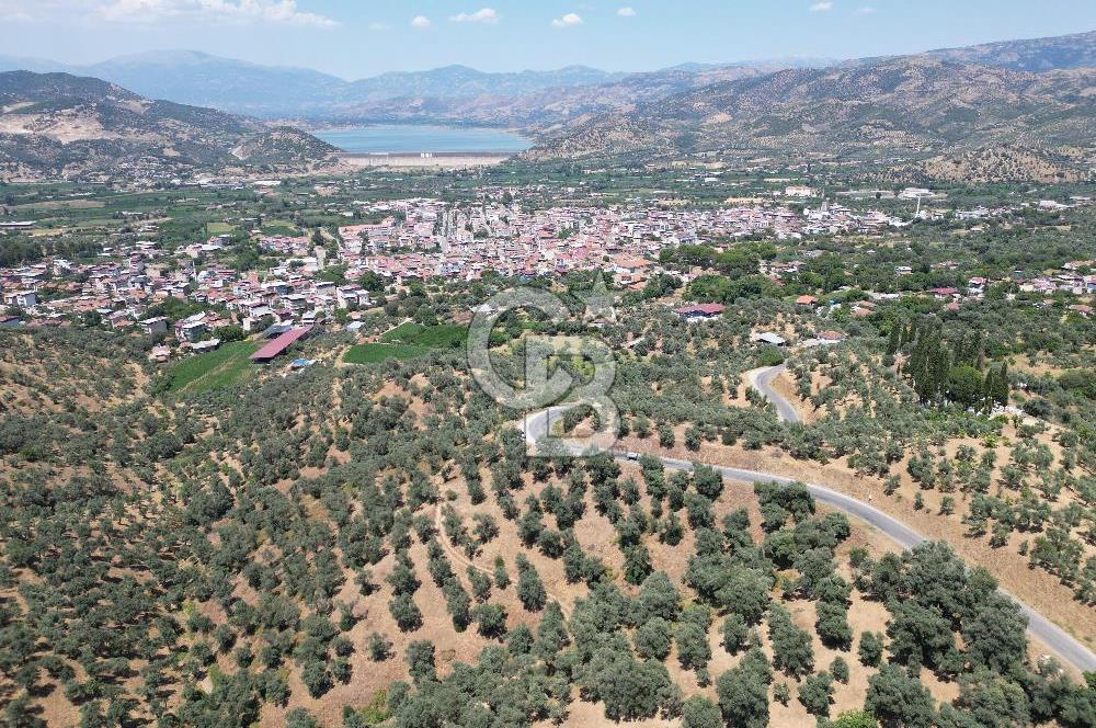 BEYDAĞ’DA ŞEHİR VE BARAJ MANZARALI SATILIK MÜSTAKİL ZEYTİNLİK