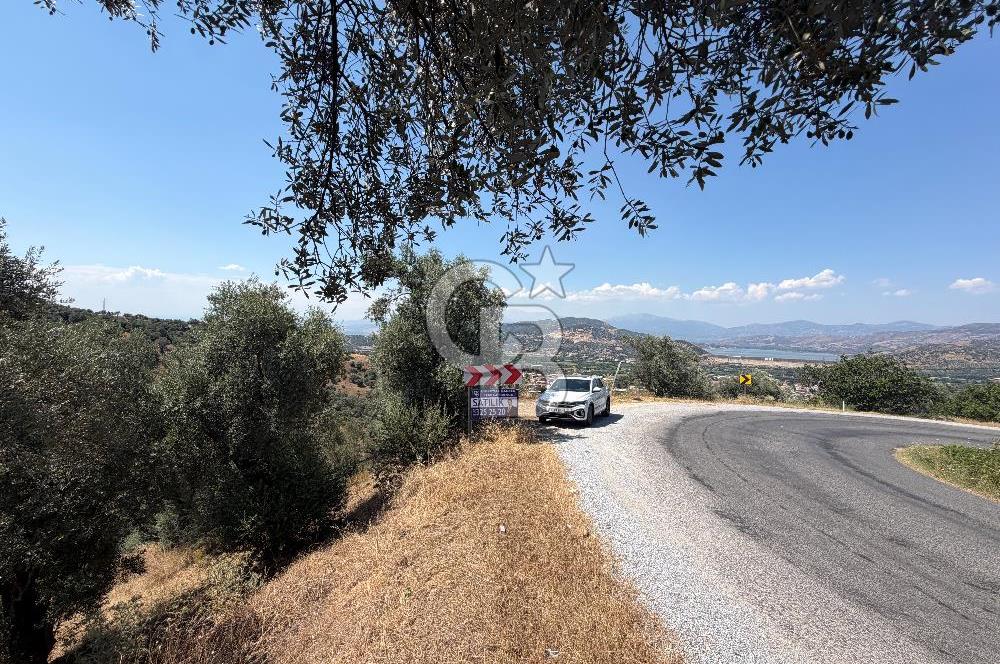 BEYDAĞ’DA ŞEHİR VE BARAJ MANZARALI SATILIK MÜSTAKİL ZEYTİNLİK