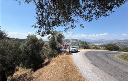 BEYDAĞ’DA ŞEHİR VE BARAJ MANZARALI SATILIK MÜSTAKİL ZEYTİNLİK