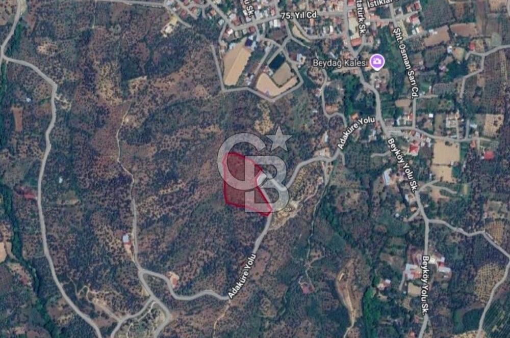 BEYDAĞ’DA ŞEHİR VE BARAJ MANZARALI SATILIK MÜSTAKİL ZEYTİNLİK