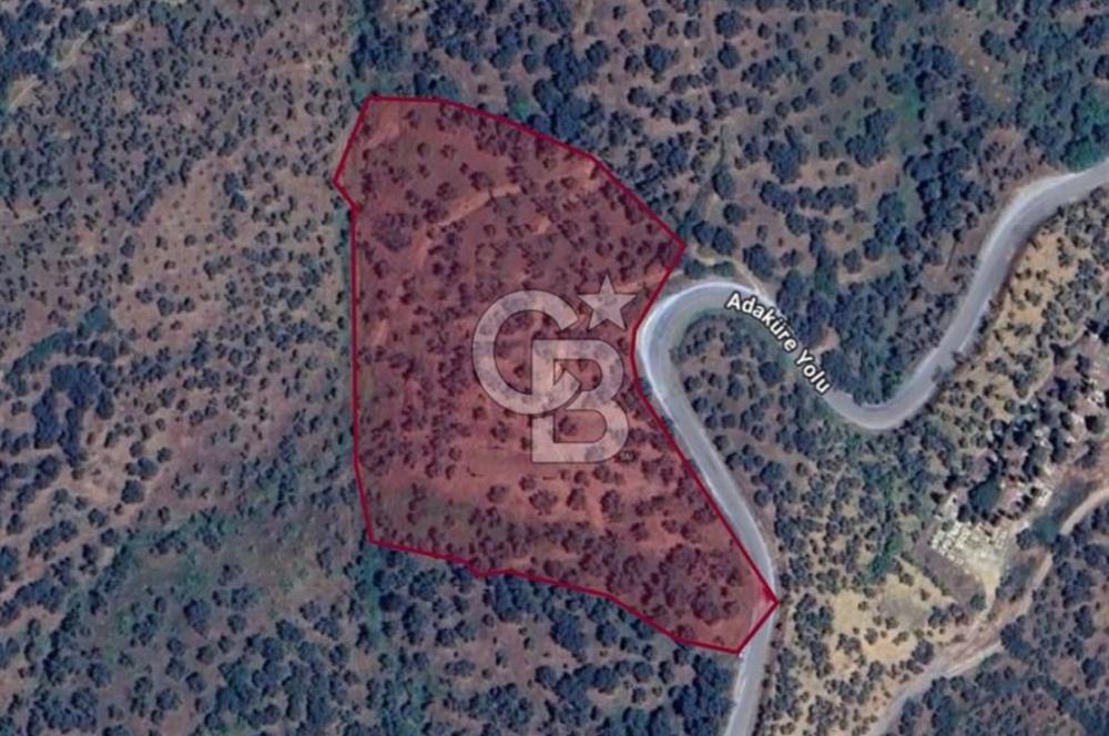 BEYDAĞ’DA ŞEHİR VE BARAJ MANZARALI SATILIK MÜSTAKİL ZEYTİNLİK
