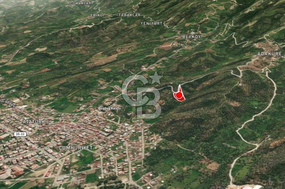 BEYDAĞ’DA ŞEHİR VE BARAJ MANZARALI SATILIK MÜSTAKİL ZEYTİNLİK