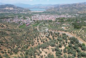 BEYDAĞ’DA ŞEHİR VE BARAJ MANZARALI SATILIK MÜSTAKİL ZEYTİNLİK - 10 - 363448