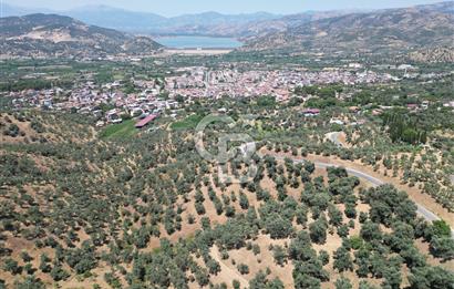 BEYDAĞ’DA ŞEHİR VE BARAJ MANZARALI SATILIK MÜSTAKİL ZEYTİNLİK