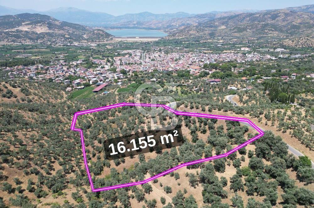 BEYDAĞ’DA ŞEHİR VE BARAJ MANZARALI SATILIK MÜSTAKİL ZEYTİNLİK