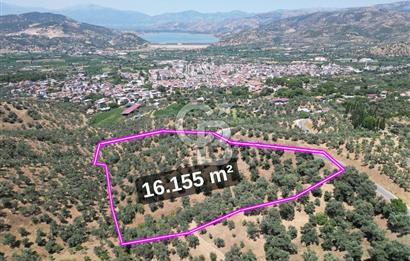 BEYDAĞ’DA ŞEHİR VE BARAJ MANZARALI SATILIK MÜSTAKİL ZEYTİNLİK