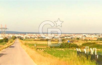 TEKİRDAĞ SARAY ÇUKURYURT SATILIK HİSSELİ TARLA
