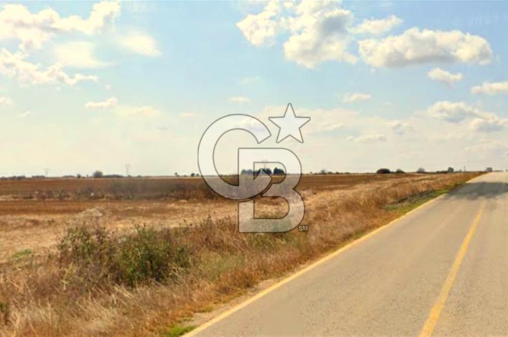 TEKİRDAĞ SARAY ÇUKURYURT SATILIK HİSSELİ TARLA
