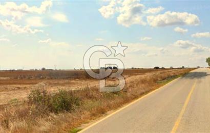 TEKİRDAĞ SARAY ÇUKURYURT SATILIK HİSSELİ TARLA