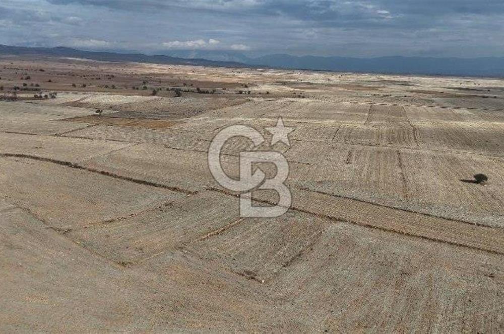 Çivril Bozdağ Mahallesi Satılık 4950 M² Tarla