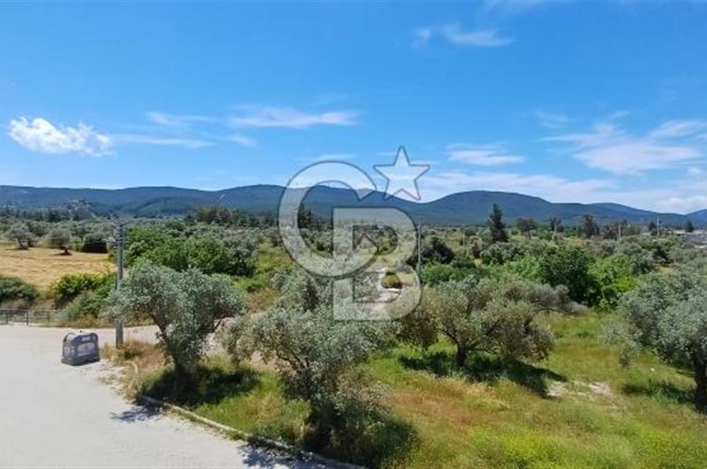 Bodrum Mumcular Satılık Ferah Boş Daire