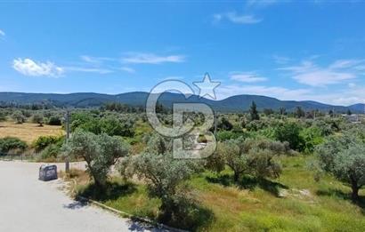Bodrum Mumcular Satılık Ferah Boş Daire