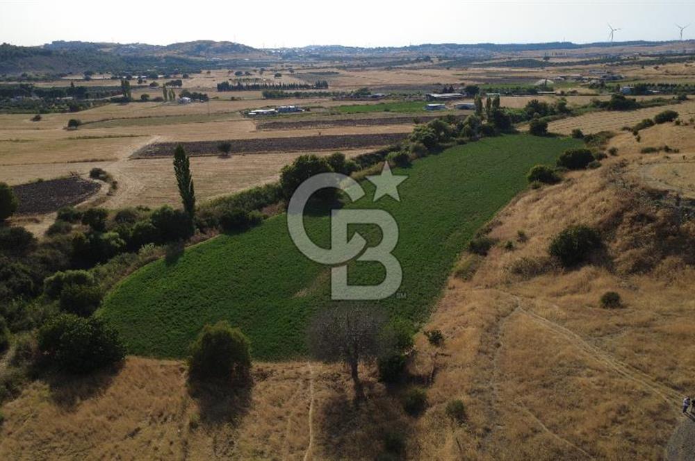 CB ODAK'TAN GÜZELHİSAR'DA SATILIK MÜSTAKİL TAPULU 6.937m² TARLA