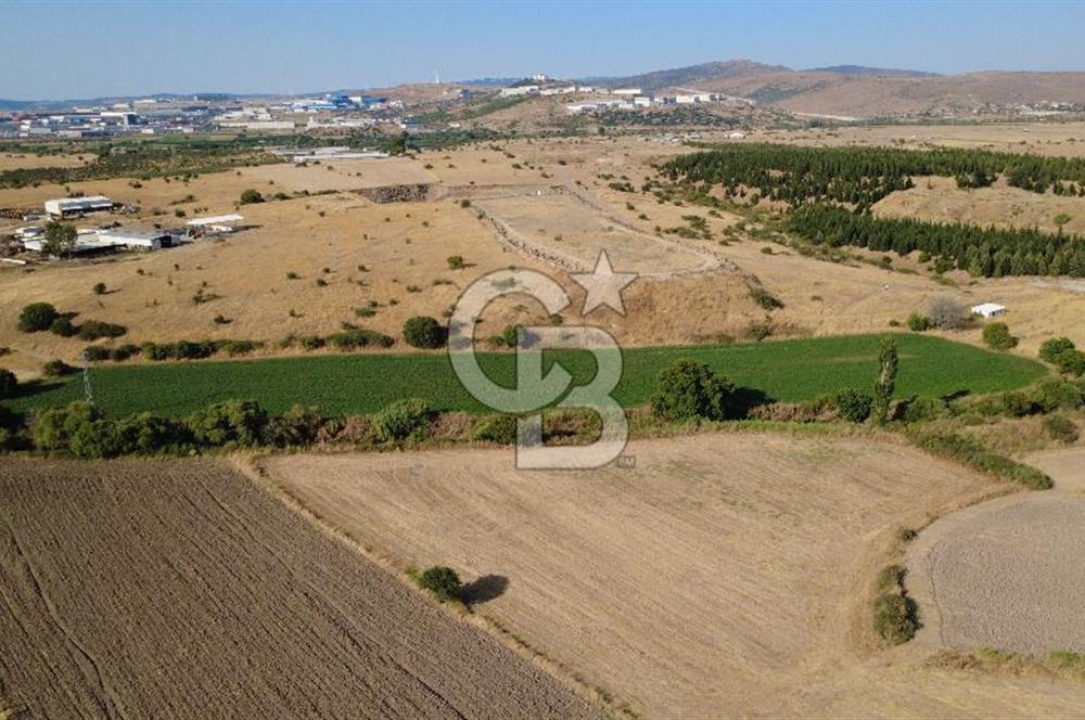 CB ODAK'TAN GÜZELHİSAR'DA SATILIK MÜSTAKİL TAPULU 6.937m² TARLA