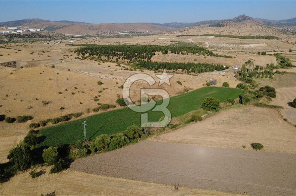 CB ODAK'TAN GÜZELHİSAR'DA SATILIK MÜSTAKİL TAPULU 6.937m² TARLA