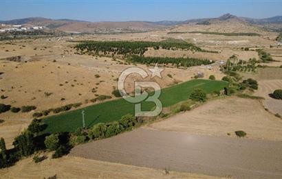 CB ODAK'TAN GÜZELHİSAR'DA SATILIK MÜSTAKİL TAPULU 6.937m² TARLA
