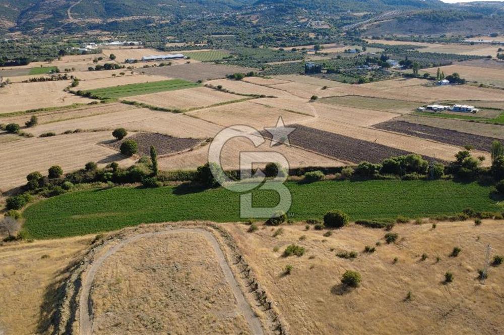 CB ODAK'TAN GÜZELHİSAR'DA SATILIK MÜSTAKİL TAPULU 6.937m² TARLA