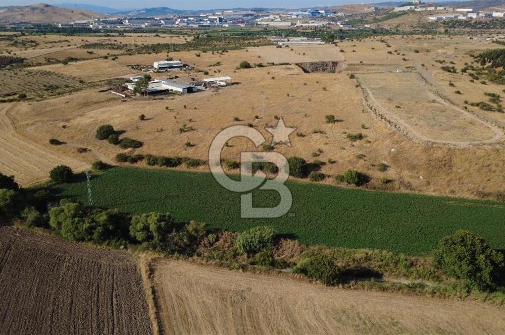 CB ODAK'TAN GÜZELHİSAR'DA SATILIK MÜSTAKİL TAPULU 6.937m² TARLA