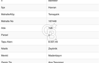 HAVRAN TEMAŞALIK'TA TEPEOBA YOLU ÜZERİ 8,5 DÖNÜM ZEYTİNLİK