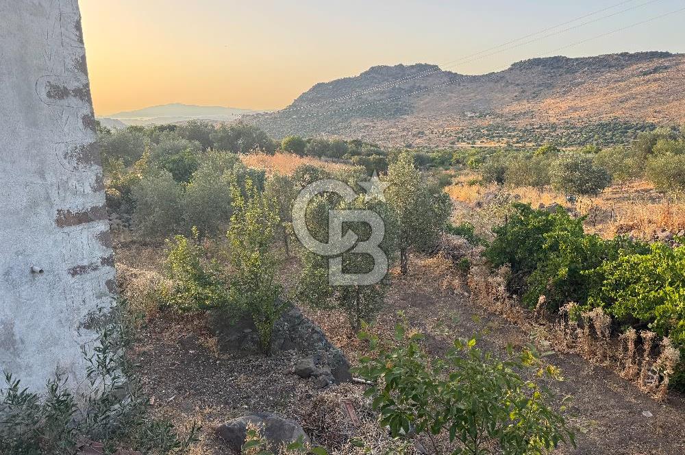 CB ODAK'TAN KARAKUZU KÖYÜ'NDE SATILIK MÜSTAKİL TAPULU KÖY EVİ