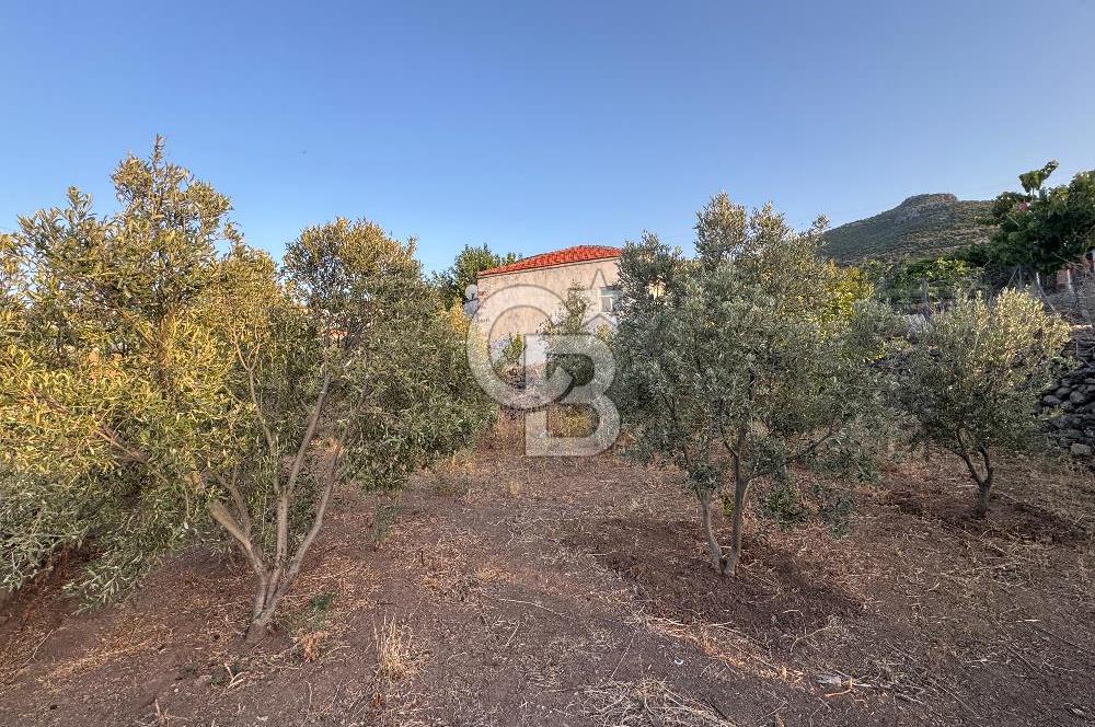 CB ODAK'TAN KARAKUZU KÖYÜ'NDE SATILIK MÜSTAKİL TAPULU KÖY EVİ