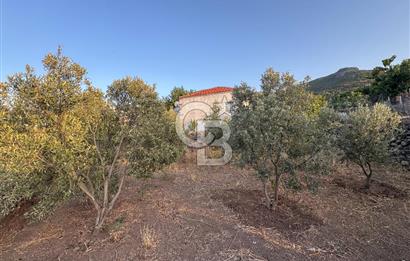 CB ODAK'TAN KARAKUZU KÖYÜ'NDE SATILIK MÜSTAKİL TAPULU KÖY EVİ