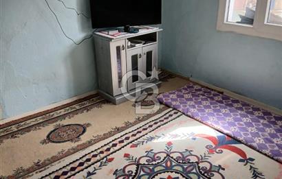 CB ODAK'TAN KARAKUZU KÖYÜ'NDE SATILIK MÜSTAKİL TAPULU KÖY EVİ