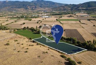 CB ODAK'TAN GÜZELHİSAR'DA SATILIK MÜSTAKİL TAPULU 6.937m² TARLA - 1 - 363738