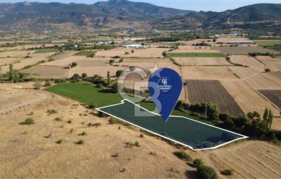 CB ODAK'TAN GÜZELHİSAR'DA SATILIK MÜSTAKİL TAPULU 6.937m² TARLA