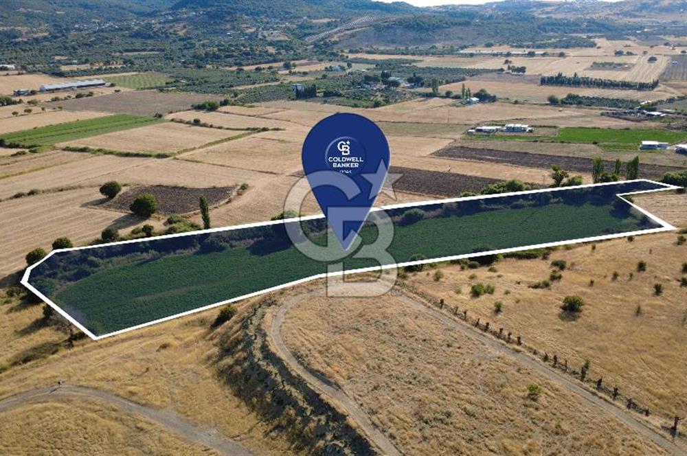 CB ODAK'TAN GÜZELHİSAR'DA SATILIK MÜSTAKİL TAPULU 6.937m² TARLA