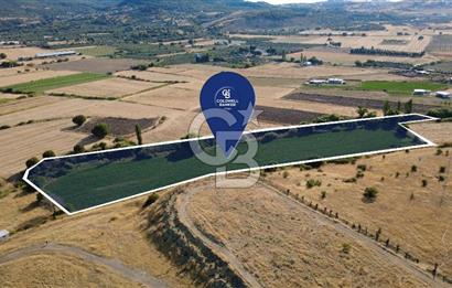 CB ODAK'TAN GÜZELHİSAR'DA SATILIK MÜSTAKİL TAPULU 6.937m² TARLA