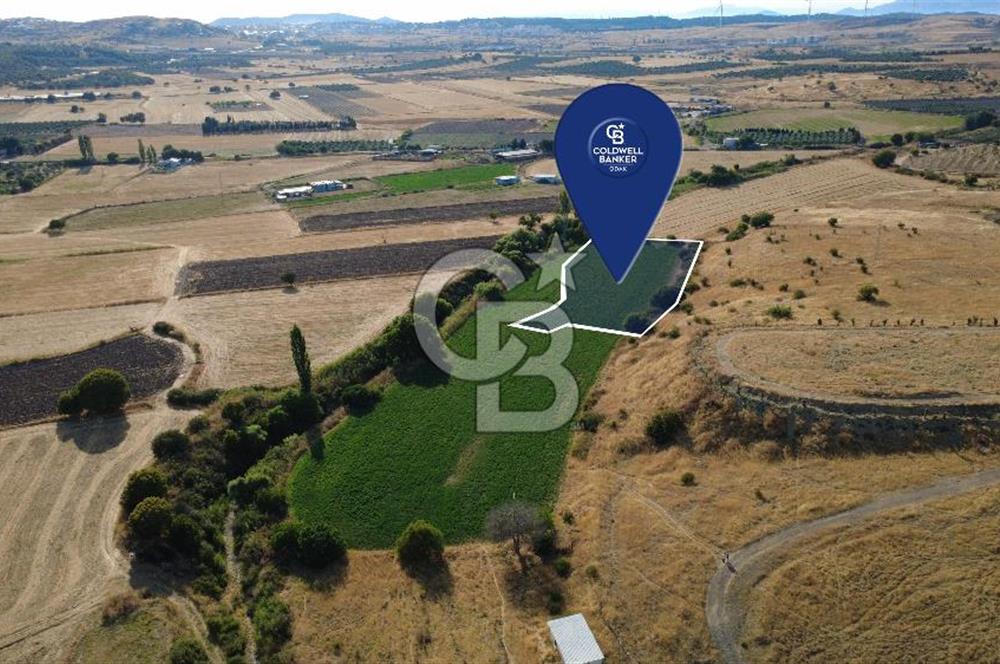 CB ODAK'TAN GÜZELHİSAR'DA SATILIK MÜSTAKİL TAPULU 6.937m² TARLA