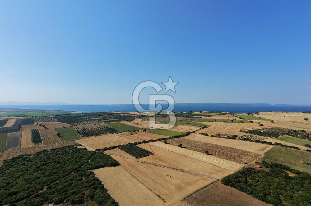 ÇANAKKALE HALİLELİ KÖYÜNDE 17.859 M2  1. SINIF EKİLEBİLİR TARIM ARAZİSİ