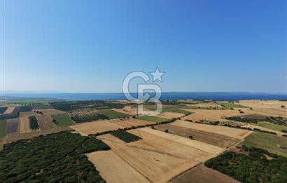 ÇANAKKALE HALİLELİ KÖYÜNDE 17.859 M2  1. SINIF EKİLEBİLİR TARIM ARAZİSİ