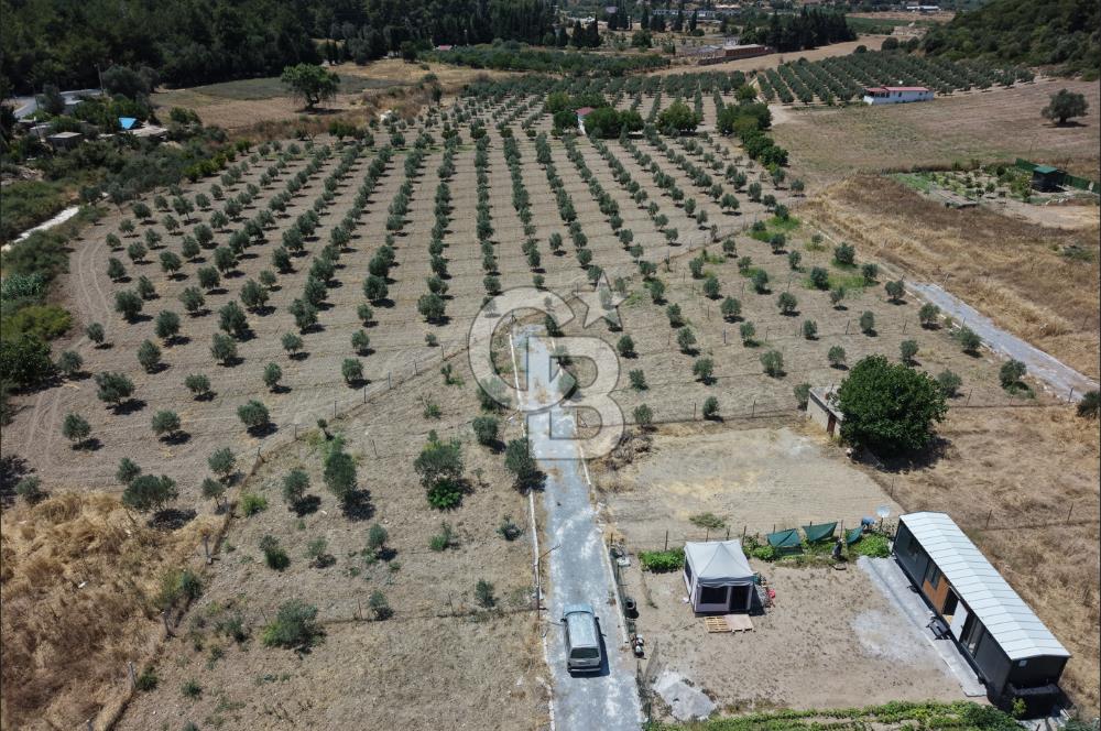 SEFERİHİSAR KAVAKDERE'DE SU-ELEKTRİKLİ SATILIK HOBİ BAHÇESİ