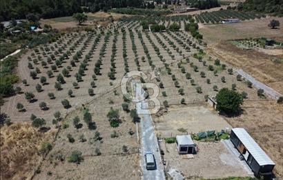 SEFERİHİSAR KAVAKDERE'DE SU-ELEKTRİKLİ SATILIK HOBİ BAHÇESİ