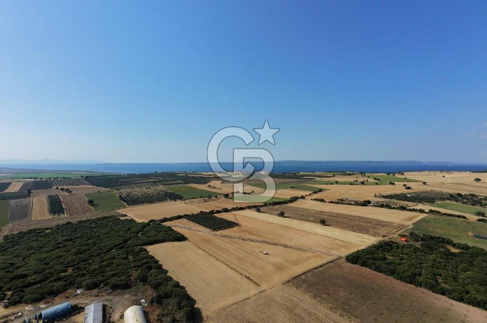 ÇANAKKALE HALİLELİ KÖYÜNDE 17.859 M2  1. SINIF EKİLEBİLİR TARIM ARAZİSİ